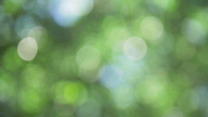 Green bokeh blured nature abstract, natural background. Environmental conservation. De focus. Sunlight shining through the leaves of trees