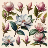 Fototapeta Boho - Set of magnolia flowers.