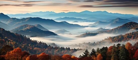 Poster - autumn view of mountains with colorful forest, isolated at sunrise