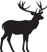 Deer Silhouette Vector On White Background