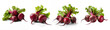 Collection of beetroot fresh red beet with leaves and a half isolated on on isolate transparency background, PNG
