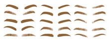 Different Shapes And Colors Of Eyebrows Vector Illustrations Set