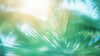 Poster - Green palm leaf on blurred background with bokeh. Summer concept.