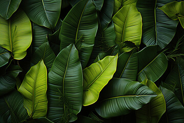 A close up of a bunch of green tropical exotic leaves.