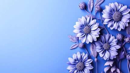  Tranquil and Serene Cornflower Blue Background, Lovely and Gentle Flowers, Soft and Calm Design