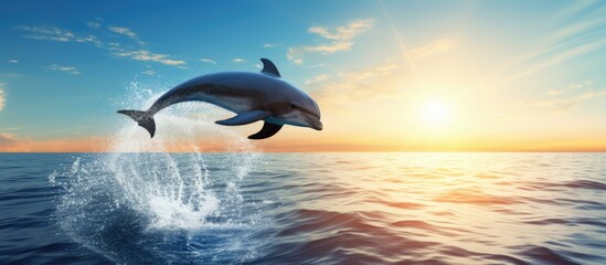 Dolphin leaping in open sea beneath blue sky with sun.