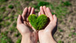 Human hands cradle green heart