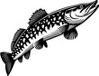 Pike Fish icon 15