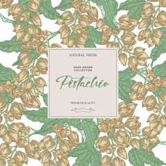 Wall Mural - Pistachio background. Hand drawn pistachio plant with nuts and leaves. Vector illustration hand drawn.