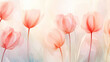 Elegant tulip flowers transparent watercolour background. Pastel colour palette. Generative AI