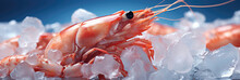 Fresh Raw Frozen Shrimp In Ice