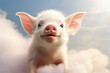 Little funny pig in the clouds