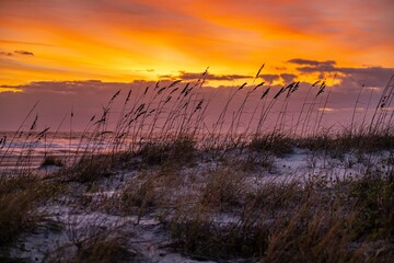 Poster - beach sunrise 