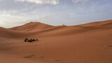 Fototapeta  - 05_Sunrise of the famous and legendary dunes of Erg Chebbi in the Sahara Desert, Morocco.
