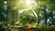 a transparent glass ball in a green forest in which the green planet Earth is reflected