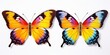 Colorful butterflies perched on a white surface. Perfect for nature-themed designs and vibrant backgrounds