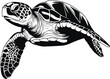 © Dmytro - Vector turtle silhouette of a isolated on a white background, Vector illustration