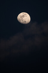 moon in the sky