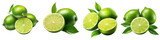 Citrus lime fruit Hyperrealistic Highly Detailed Isolated On Transparent Background Png File