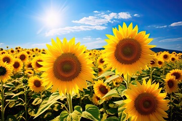 Poster - Sunflower field with Mt.Fuji in background, Yamanashi, Japan, AI Generated