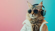 Portrait of funky tabby cat wearing cool glasses and headphones and listening music on a trendy color background