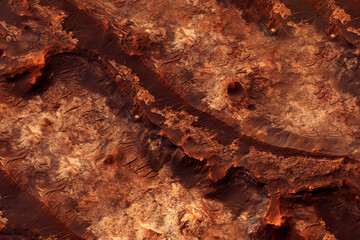 Wall Mural - surface of the planet mars. elements of this image furnished by nasa
