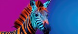 Fototapeta Dziecięca - Zebra with contrasting colors