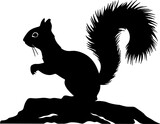 Fototapeta  - squirrel on a branch silhouette.