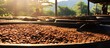 High-quality coffee beans undergo the honey drying process in a Thai plantation north of Chiang Rai.