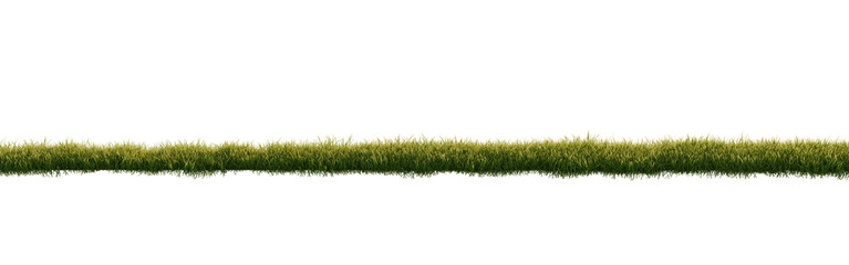 Wall Mural - Green grass isolated on transparent background. 3D render.	
