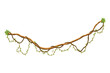 Twisted wild lianas branches banner. Jungle vine plants. Woody natural tropical rainforest, exotic botany. Woody natural branches