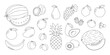Fruits and berries outline set. Natural tropical fruits coloring page. Organic, vegetarian food. Healthy nutrition. Coloring book for print. Vector illustration isolated on white background