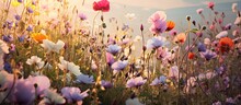 A Picture Of Flowers In A Field.