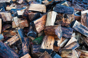 Chopped up tree stumps for firewood in the garden.