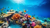 Fototapeta Do akwarium - A coral reef that is colorful and full of marine life