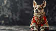 The dog wears a red auspicious Chinese costume