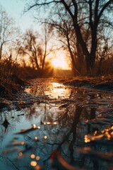 Poster - A puddle of water with trees in the background. Suitable for nature and landscape themes