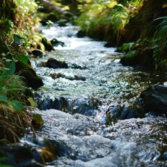 Poster - A picture of a serene stream flowing through a vibrant and verdant forest. Perfect for nature-themed projects and designs