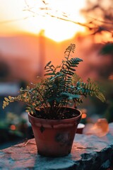 Poster - A potted plant sitting on top of a rock. Suitable for interior design and nature-themed projects