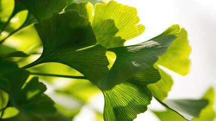 Poster - A close up view of a plant with vibrant green leaves. Perfect for botanical or nature-themed projects