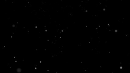 Poster - White Dust or snow particles falling on isolated black transparent background, Alpha channel stock video animation, Seamless loop 4K footage