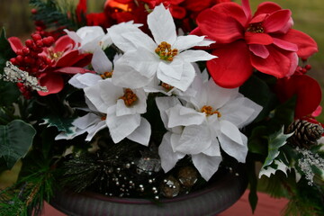 Sticker - Poinsettia Flowers