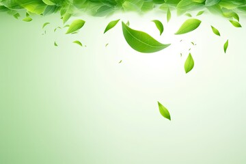 Wall Mural - Flying Green Tea Leaves, Ted Leaf Realistic Background, Tea Leaves Vortex Pattern