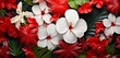 Vibrant tropical floral pattern featuring red cyclamens and white primroses on a linear 3D wall texture