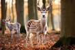 Fallow deer in the autumn forest. Wildlife scene from nature, European fallow deer or common fallow deer, AI Generated