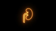 Glowing yellow neon line Human kidney icon isolated on a black background. Neon human kidneys icon. Urinary system part symbol. Medicine icons.