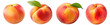Png Set Peaches separated transparent background. PNG