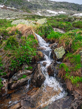 Alpine Stream, Clear Water. Mountain River Stream Flowing Through A Green Rockland.
