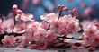 pink blossom flower wallpaper background
