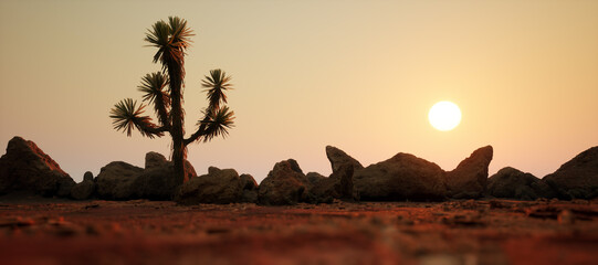 Wall Mural - Desert with solitary joshua tree and rocks at sunset.